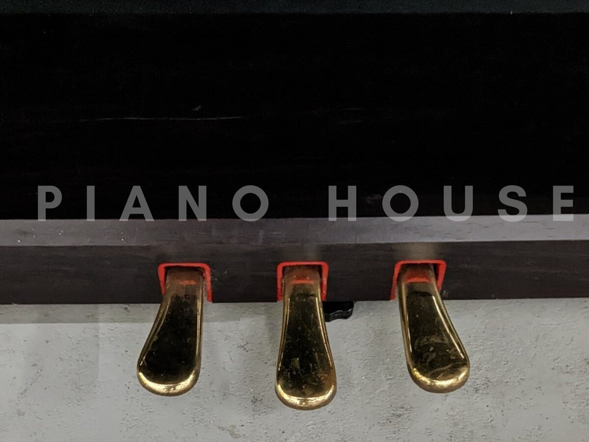 Cận cảnh YAMAHA CVP-401 tại Piano House